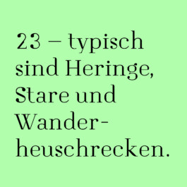 STUDIO FÜR GRAFIK– & TYPEDESIGN