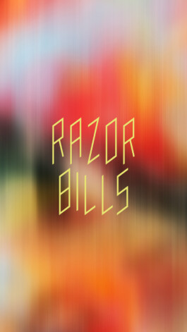 STUDIO FÜR GRAFIK– & TYPEDESIGN